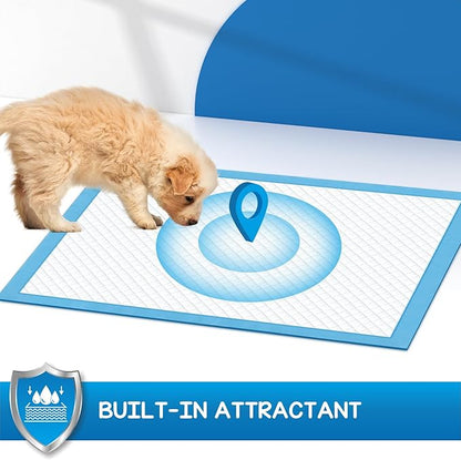 CROCI Wee Wee Pads for Dogs - 36x36in Extra Large Puppy Dog Pads with Adhesive Tabs, Super Absorbent Up to 10 Cups, Disposable (30 Counts)