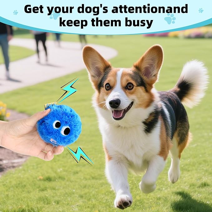 Dog Squeaky Toy, No Stuffing Plush Ball Dog Toy for Small Meduim Breed, Indestructible Puppy Chew Toys for Teething Chewing Interactive Fetch Play to Keep Them Busy, Blue, 3.1Inch