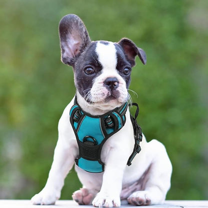 rabbitgoo Dog Harness No Pull with 2 Leash Clips, Adjustable Soft Padded, Reflective Oxford No Choke Pet Vest with Easy Control Handle for Small Dogs, Teal, S