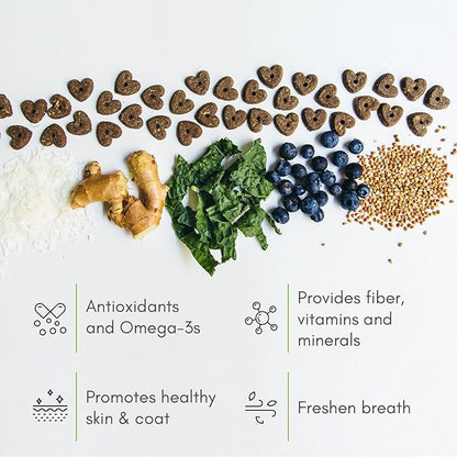 V-dog Vegan Soft and Chewy Wiggle Dog Biscuits - Dog Training Treats - Small, Medium and Large Breeds - Natural Blueberry Flavor Superfoods - 10 Ounce - All Natural - Made in The USA