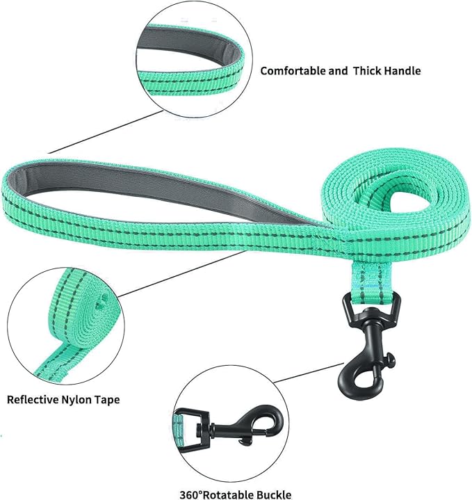 Dog Harness and Leash Set, No Pull Soft Mesh Puppy Harness for Small Medium Dogs, Cats - Step in Reflective Breathable Lightweight Vest Harness for Walking, Training - Green, S