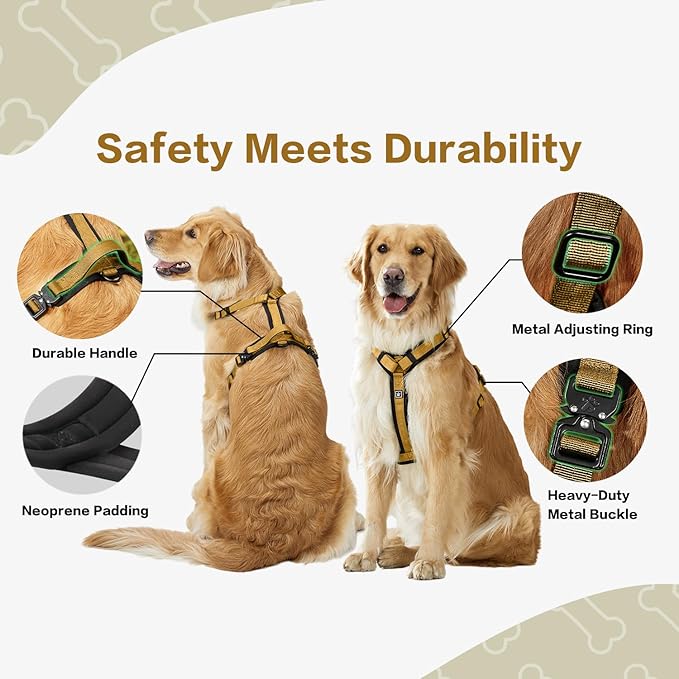 PawsPassion Dog Harness for Small Dogs, No Pull Dog Harness Easy Walk with Metal Hardware, Ergonomic Y-Shaped Design, Soft Padding, Padded Handle, Durable High-Tensile Nylon (Sunrise, S)
