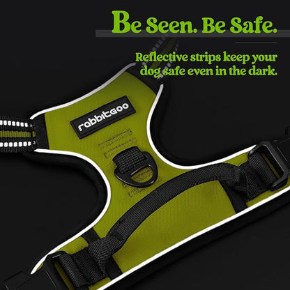 rabbitgoo Dog Harness No Pull with 2 Leash Clips, Adjustable Soft Padded, Reflective Oxford No Choke Pet Vest with Easy Control Handle for Medium Sized Dogs, Green, M