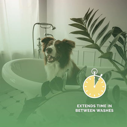 Bark2Basics Salon Scents Pet Grooming Cologne - 8 oz, Natural Professional Perfume for Dogs and Cats, Long Lasting, Deodorizing, Made in The USA (Sweet Italian Lemon)