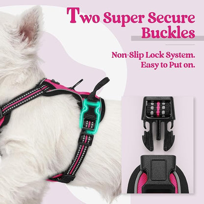 rabbitgoo Dog Harness No Pull with 2 Leash Clips, Adjustable Soft Padded, Reflective Oxford No Choke Pet Vest with Easy Control Handle for Puppy, Hot Pink, XS