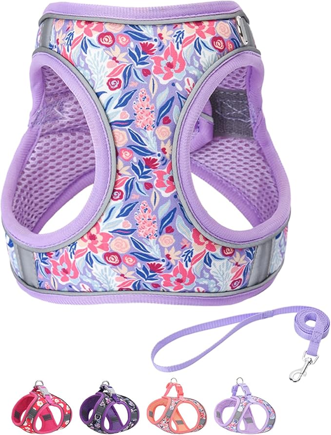 Step in Dog Harness and Leash Set, Flower Adjustable Easy Walk Puppy Harnesses, Soft Mesh Pet Vest Harness Small Size Dog Adjustable No Pull Harness for Small Medium Dogs(Lightpurple, M)