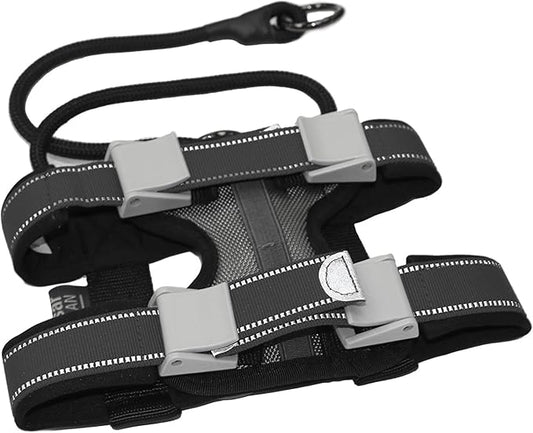Cesar Millan Pack Leader Collar™ - Training Collar of The Dog Whisperer (Large, Blue)