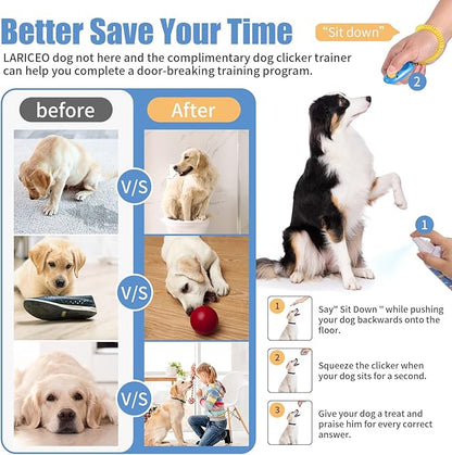 Training Spray for Dogs to Stop Peeing | Not Here Dog Spray | Pet No More Marking | Safe Dog Spray for Peeing Dog Stay Away, 8oz