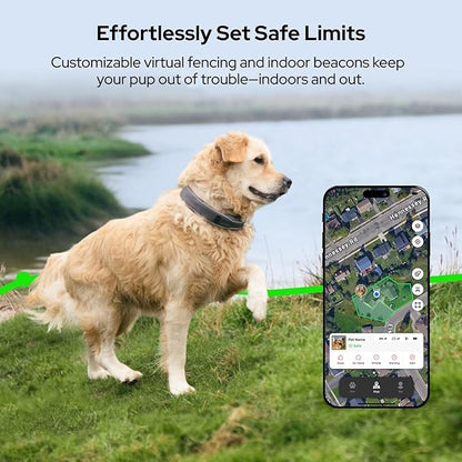 SATELLAI Dog Wireless Fences, Gray The Most Advanced GPS Dog Collar with AI Analysis, Precise Positioning, 5-Day Battery, and IP68 Waterproof, Flexible Virtual Fencing for Medium & Large Dogs