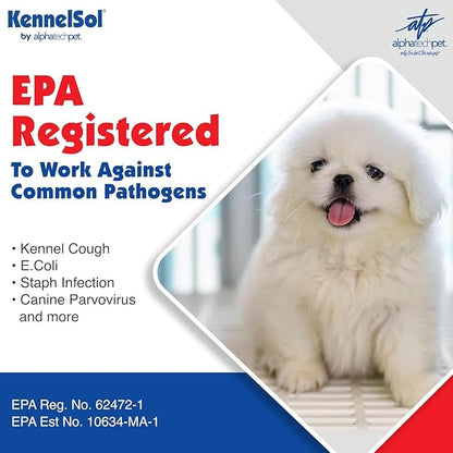 atp 1-Step Kennel Cleaner - EPA Registered Liquid Concentrate Disinfectant and Deodorizer, Effective Against Bacteria and Viruses - 1 Pint by Alpha Tech Pet