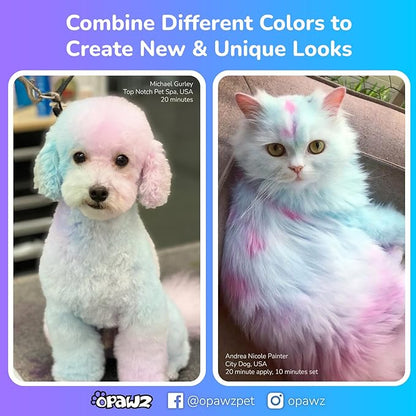 OPAWZ Color Depositing Shampoo for Dogs, Semi-Permanent Dog Hair Dye Coloring Safe Shampoo, Non-Toxic Colorwash Shampoo for Pets (Fuschia, 16.94 fl.oz / 500mL)