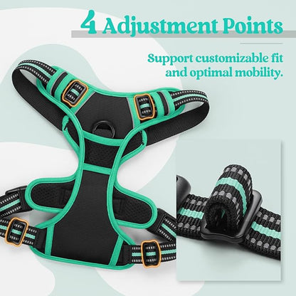 rabbitgoo Dog Harness No Pull with 2 Leash Clips, Adjustable Soft Padded, Reflective Oxford No Choke Pet Vest with Easy Control Handle for Large Dogs, Black & Turquoise, L