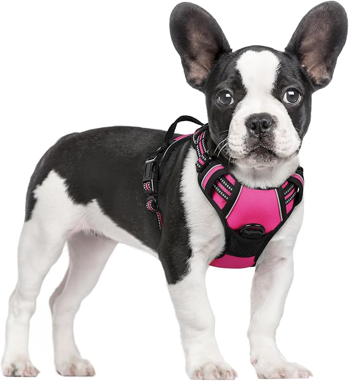 rabbitgoo Dog Harness No Pull with 2 Leash Clips, Adjustable Soft Padded, Reflective Oxford No Choke Pet Vest with Easy Control Handle for Large Dogs, Hot Pink, S
