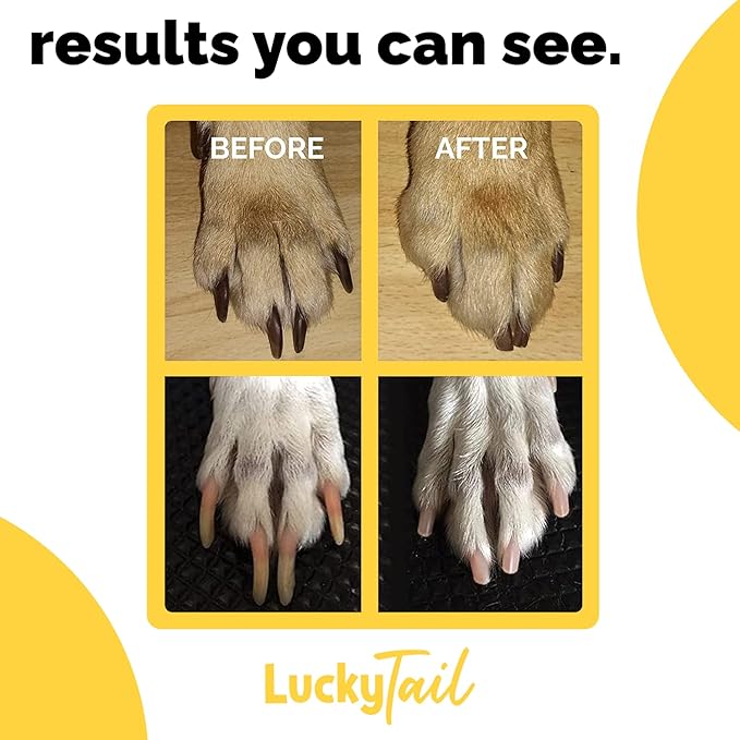 LuckyTail Pet Nail Grinder for Dogs and Cats - Super Quiet and Low Vibration Electric Dog Nail Grinder with 2 LED Lights - USB Rechargeable and Cordless - 2 Speeds - Small to Large Pets