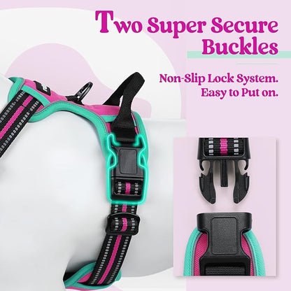rabbitgoo Dog Harness No Pull with 2 Leash Clips, Adjustable Soft Padded, Reflective Oxford No Choke Pet Vest with Easy Control Handle for Large Dogs, Hot Pink & Turquoise, M