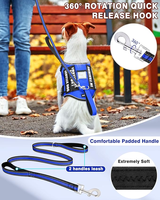 Service Dog Vest Harness and Leash Set+10 Patches for Puppy Small Dogs,Do Not Pet Emotional Support Dog Vest with 2 Soft Padded Handle for Everyday/Training (Blue XS)