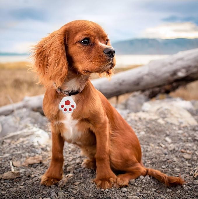 Dog Collar GPS Tracker, Paw Print Design, Multi-Color (red)