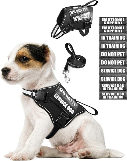 Service Dog Vest Harness and Leash Set+10 Patches for Puppy Small Dogs,Do Not Pet Emotional Support Dog Vest with 2 Soft Padded Handle for Everyday/Training (Black XS)