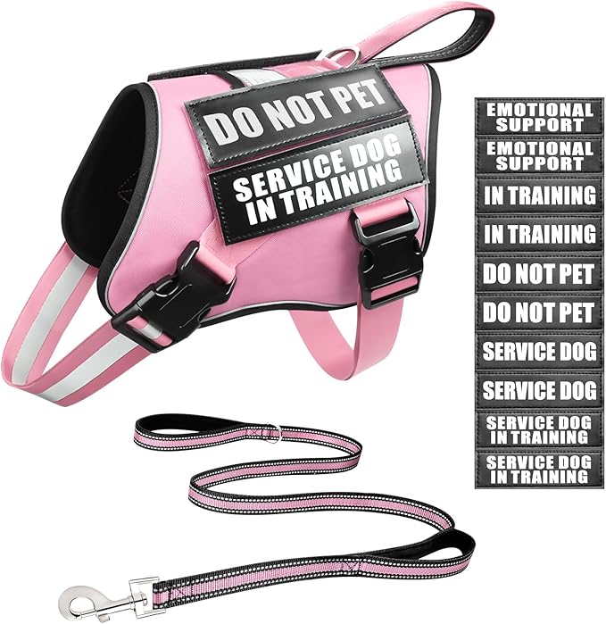 Service Dog Vest Harness and Leash Set+10 Patches,No Pull&Easy Walk Reflective Dog Harness with Soft Padded Handle for Training/Everyday,Fit Small/Medium/Large/Extra-Large Dogs(Pink S)