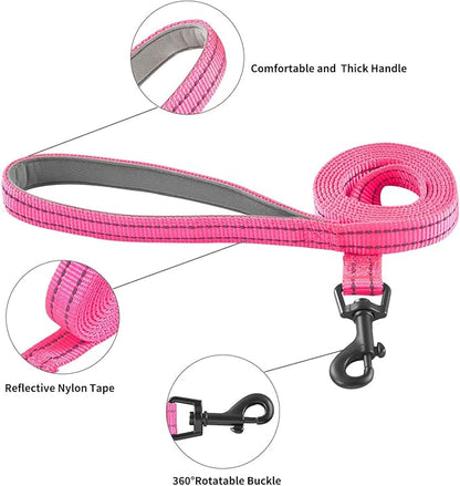 Dog Harness and Leash Set, No Pull Soft Mesh Puppy Harness for Small Medium Dogs, Cats - Step in Reflective Breathable Lightweight Vest Harness for Walking, Training - Rose Red, M