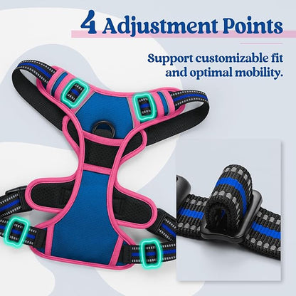 rabbitgoo Dog Harness No Pull with 2 Leash Clips, Adjustable Soft Padded, Reflective Oxford No Choke Pet Vest with Easy Control Handle for Large Dogs, Blue & Hot Pink, S
