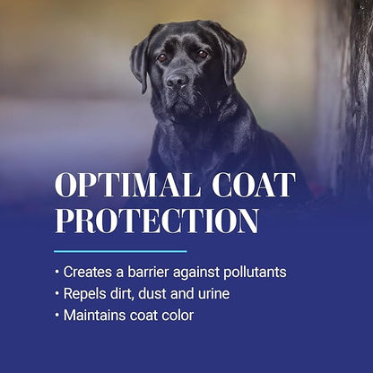 Chris Christensen Ice on Ice Ultra Conditioning Dematting Spray, Dog Conditioner, Groom Like a Professional, Lightweight Formula, Dematts & Detangles, Conditions & Protects, Made in The USA, 13.2oz