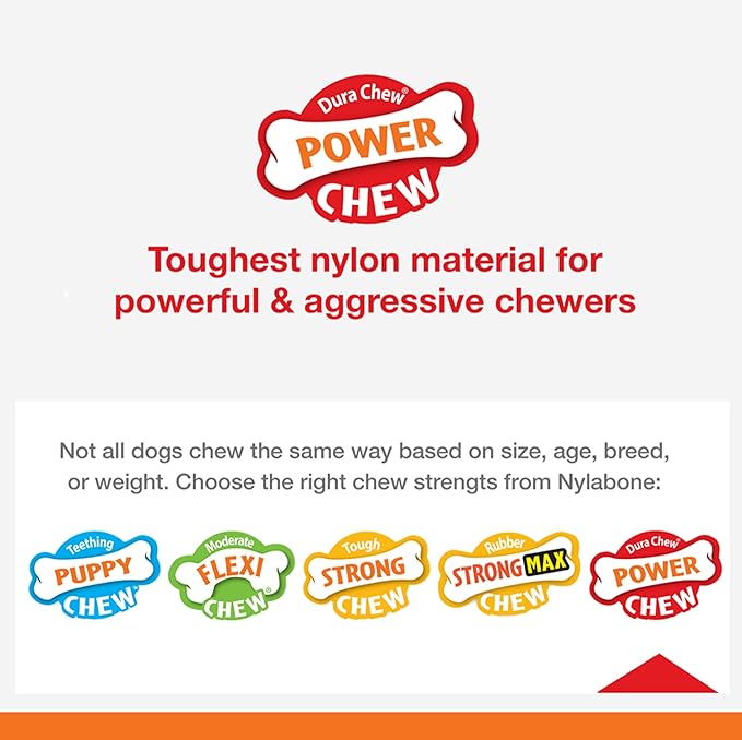 Nylabone Power Chew Flavor Frenzy Bone Chew Toy for Dogs, Chew Toys for Aggressive Chewers, Pancakes & Sausage, Roast Beef Club, & Lasagna Flavor, X-Small/Petite - Up to 15 lbs. (3 Count)