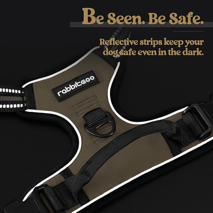 rabbitgoo Dog Harness No Pull with 2 Leash Clips, Adjustable Soft Padded, Reflective Oxford No Choke Pet Vest with Easy Control Handle for Large Dogs, Beige, XL