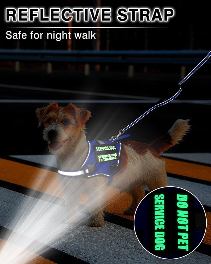 Service Dog Vest Harness and Leash Set+10 Patches for Puppy Small Dogs,Do Not Pet Emotional Support Dog Vest with 2 Soft Padded Handle for Everyday/Training (Blue XS)