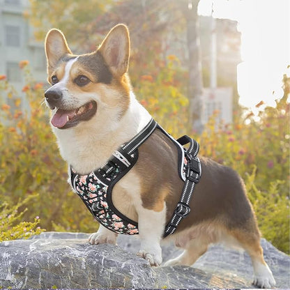 Timos Dog Harness, 3 Snap Buckles No-Pull Soft Padded Dog Vest with 2 Metal Leash Clips,Adjustable Reflective No Choke Pet Harness with Easy Control Handle for Small Dogs,Black Rose,S