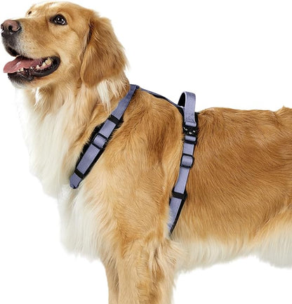 PawsPassion Dog Harness for X-Large Dogs, No Pull Dog Harness with Metal Hardware, Ergonomic Y-Shaped Design, Soft Padding, Padded Handle, Durable High-Tensile Nylon (Lilac Breeze, XL)