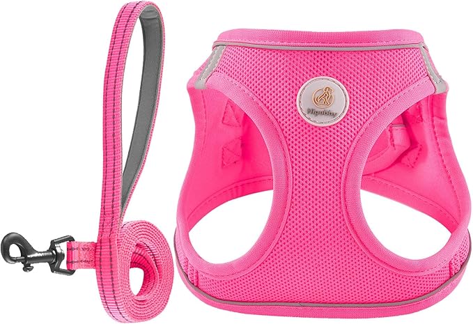 Dog Harness and Leash Set, No Pull Soft Mesh Puppy Harness for Small Medium Dogs, Cats - Step in Reflective Breathable Lightweight Vest Harness for Walking, Training - Rose Red, XXS