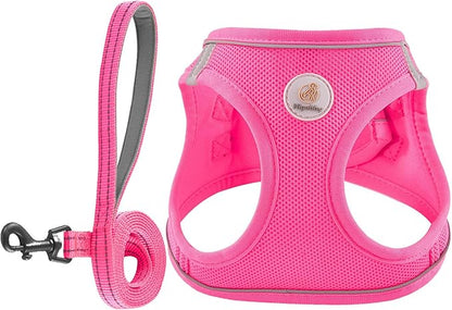 Dog Harness and Leash Set, No Pull Soft Mesh Puppy Harness for Small Medium Dogs, Cats - Step in Reflective Breathable Lightweight Vest Harness for Walking, Training - Rose Red, S