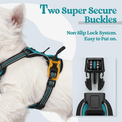 rabbitgoo Dog Harness No Pull with 2 Leash Clips, Adjustable Soft Padded, Reflective Oxford No Choke Pet Vest with Easy Control Handle for Puppy, Teal, XS