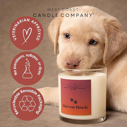 Pet Safe All Natural Soy Wax Melts - Non-Toxic, Dog & Cat Friendly, Odor Eliminator (Pumpkin Pecan Waffles)