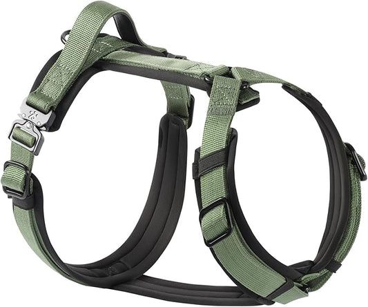 PawsPassion Dog Harness for Large Dogs, No Pull Dog Harness Easy Walk with Metal Hardware, Ergonomic Y-Shaped Design, Soft Padding, Padded Handle, Durable High-Tensile Nylon (Evergreen, L)