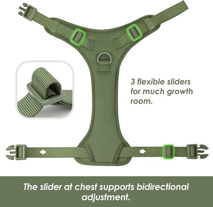 No Pull Dog Harness, Puppy Vest with Front Clip for Small Medium Large Sized Dog (Misty Green,M)