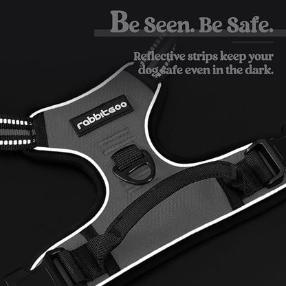 rabbitgoo Dog Harness No Pull with 2 Leash Clips, Adjustable Soft Padded, Reflective Oxford No Choke Pet Vest with Easy Control Handle for Large Dogs, Grey, XL