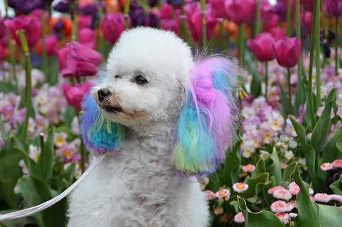 Canine Color Semi Perm Coat Color Shampoo for Dogs by Warren London | A Longer Lasting Option to Dog Hair Dye Temporary Coloring | Wash-In Pet Safe Dye for Dogs, Horses, Rabbits! Lab-ender Dark Purple