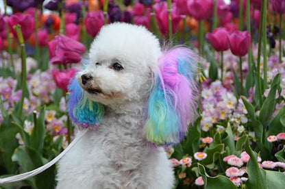 Canine Color Semi Perm Coat Color Shampoo for Dogs by Warren London | A Longer Lasting Option to Dog Hair Dye Temporary Coloring | Wash-in Pet Safe Dye for Dogs, Horses, Rabbits! Fire Red