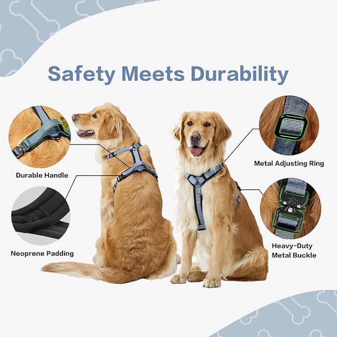 PawsPassion Dog Harness for Small Dogs, No Pull Dog Harness Easy Walk with Metal Hardware, Ergonomic Y-Shaped Design, Soft Padding, Padded Handle, Durable High-Tensile Nylon (Horizon, S)