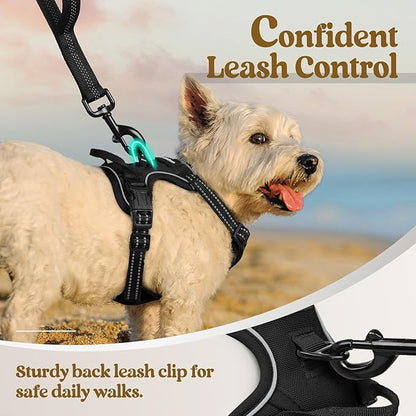 rabbitgoo Dog Harness No Pull with 2 Leash Clips, Adjustable Soft Padded, Reflective Oxford No Choke Pet Vest with Easy Control Handle for Puppy, Black, XS