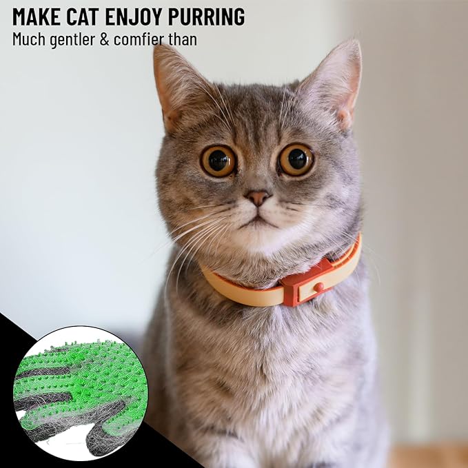 Complete Professional Pet Grooming Kit with Pet Hair Removal Tool brush Gloves, Self-Cleaning Slicker Brush, and Pro Grooming Dog Brush Deshedder Comb to Reduce Shedding (Green)