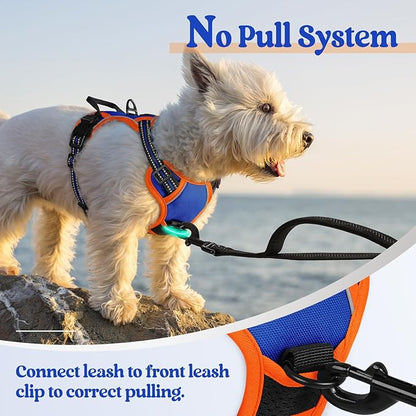 rabbitgoo Dog Harness No Pull with 2 Leash Clips, Adjustable Soft Padded, Reflective Oxford No Choke Pet Vest with Easy Control Handle for Puppy, Blue & Orange, XS