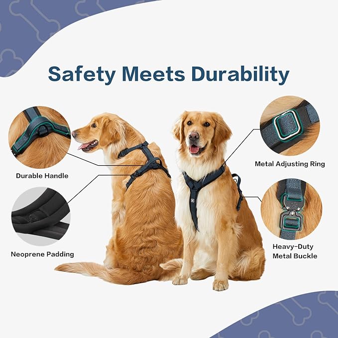 PawsPassion Dog Harness for X-Large Dogs, No Pull Dog Harness Easy Walk with Metal Hardware, Ergonomic Y-Shaped Design, Soft Padding, Padded Handle, Durable High-Tensile Nylon (Nightfall, XL)