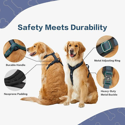PawsPassion Dog Harness for X-Large Dogs, No Pull Dog Harness Easy Walk with Metal Hardware, Ergonomic Y-Shaped Design, Soft Padding, Padded Handle, Durable High-Tensile Nylon (Nightfall, XL)