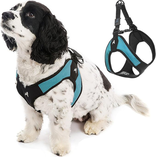 Gooby - Escape Free Easy Fit Harness, Small Dog Step-in Harness for Dogs That Like to Escape Their Harness, Turquoise, Medium