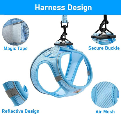 Dog Harness and Leash Set, No Pull Soft Mesh Puppy Harness for Small Medium Dogs, Cats - Step in Reflective Breathable Lightweight Vest Harness for Walking, Training - Blue, XXS