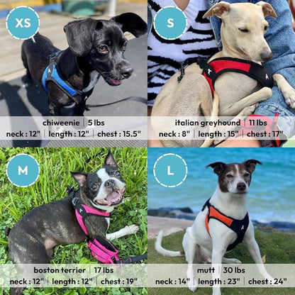 Gooby Turquoise X-Small Easy Fit Harness - No Pull Patented Design for Small Dogs with Quick Release Buckle