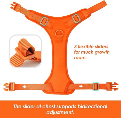 No Pull Dog Harness, Puppy Vest with Front Clip for Small Medium Large Sized Dog(Orange,L)